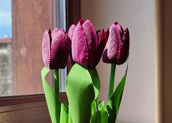 Appartement Mountain Paradise 1 - 2 Bedroom - Large *